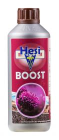 HESI Boost 500mL